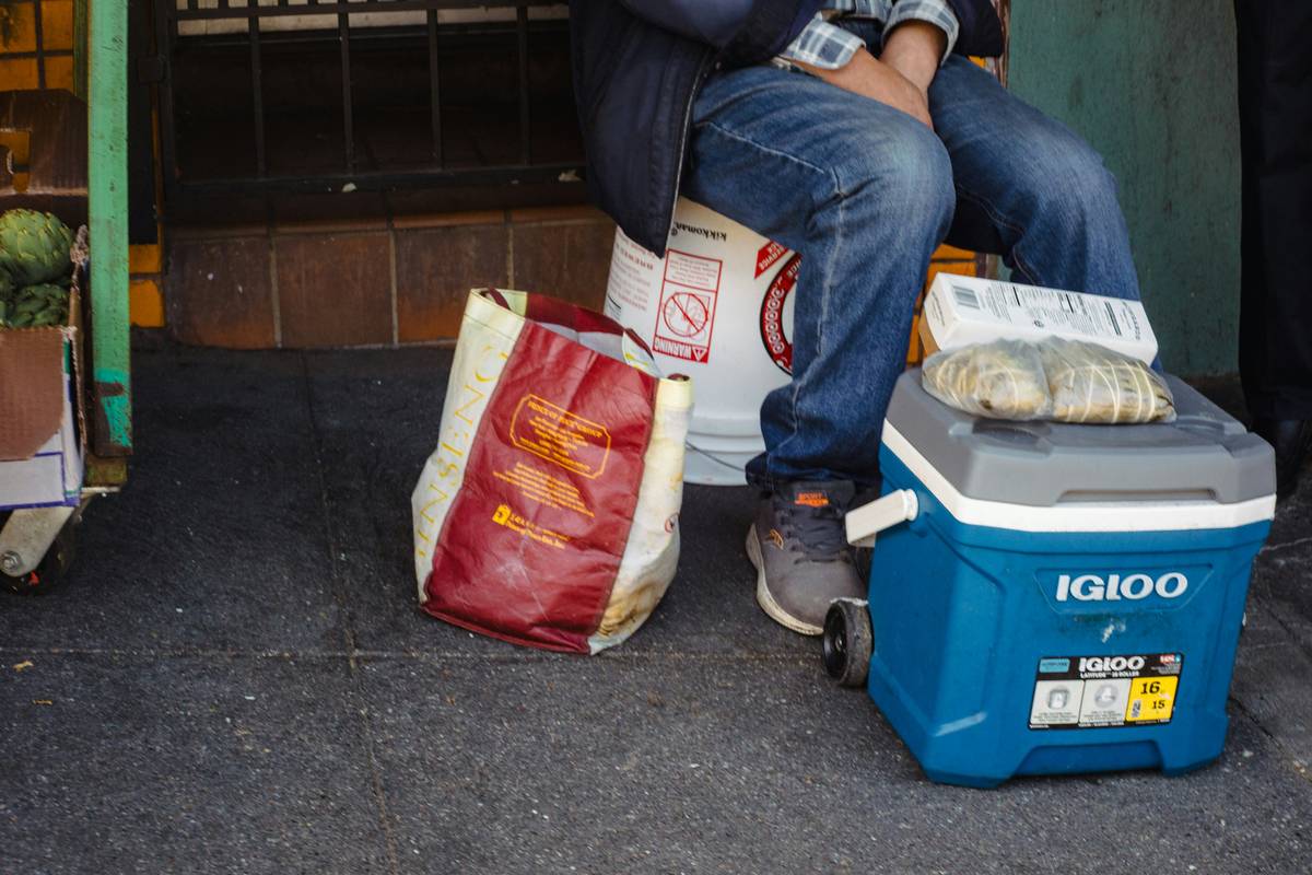 Premium prepared meals shipped frozen in eco-friendly packaging with nutritional labels visible