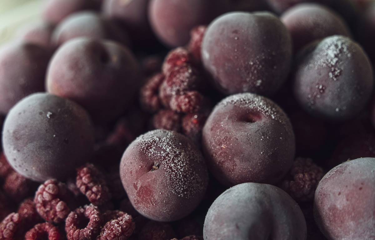 Why Prepared Meals Shipped Frozen Are the Only Smart Choice for Busy Professionals
